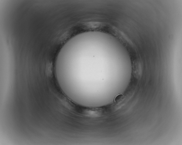 X0000112040563200908171513