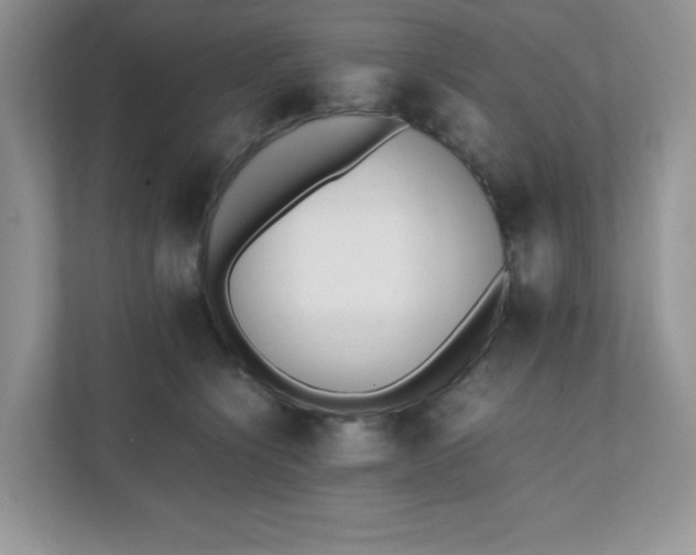 X0000112040564200908171513
