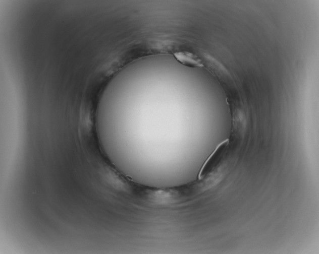 X0000112040566200908171513