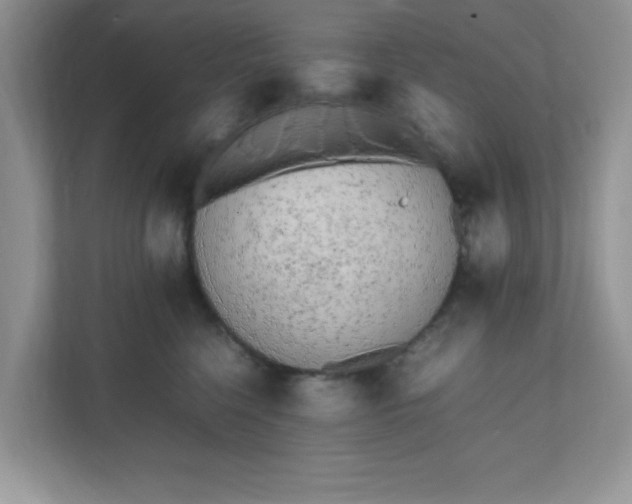 X0000112040568200908171513