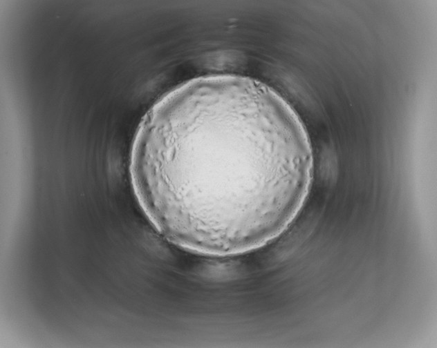 X0000112040569200908171513