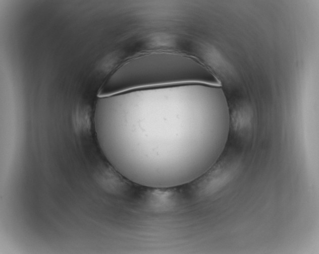 X0000112040570200908171513