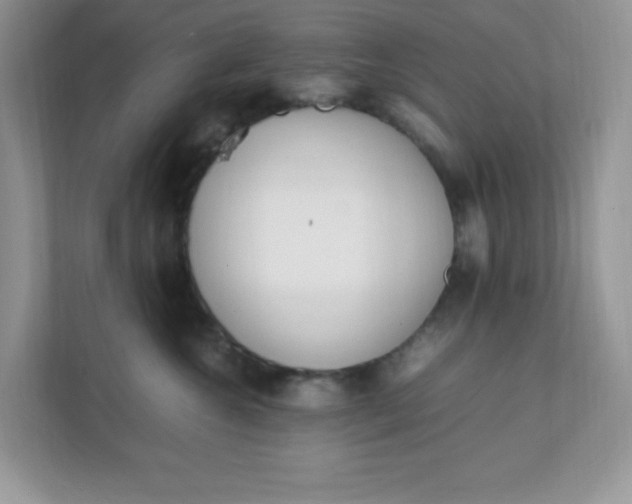 X0000112040572200908171513