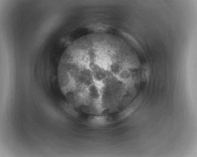 X0000112040573200908171513