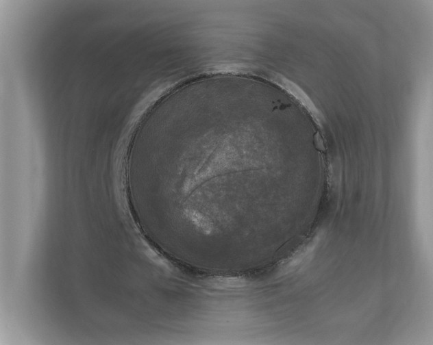 X0000112040577200908171513
