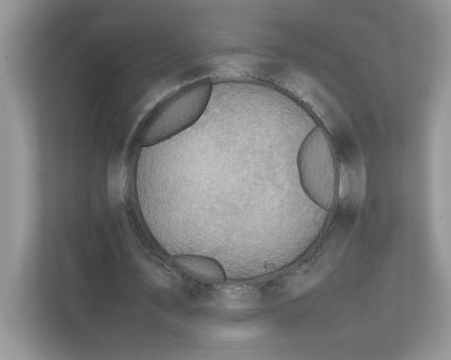 X0000112040579200908171513