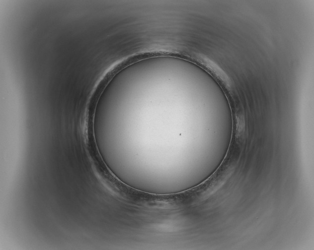 X0000112040580200908171513