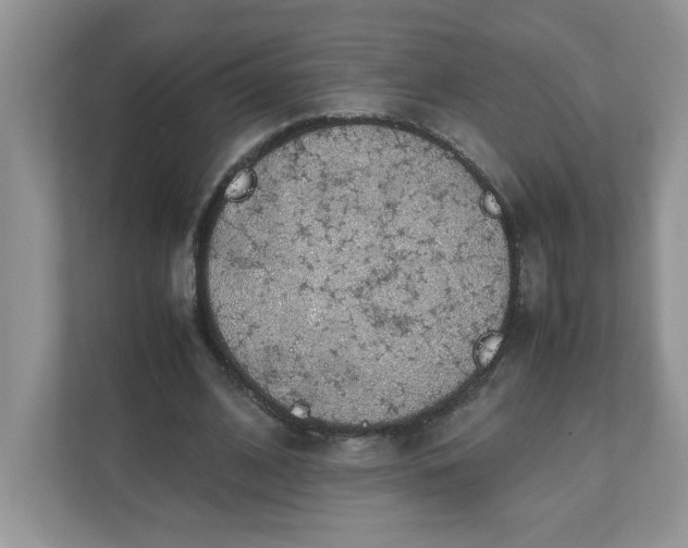 X0000112040584200908171513