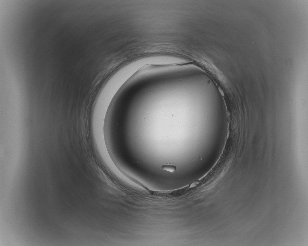 X0000112040585200908171512
