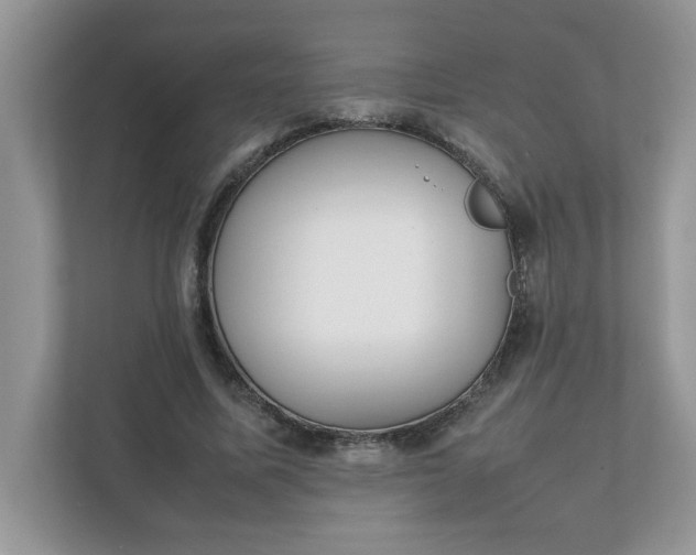 X0000112040587200908171512