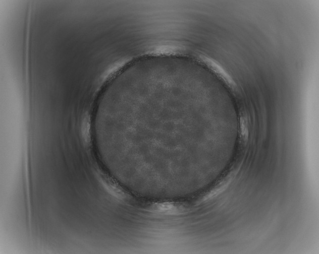 X0000112040588200908171512