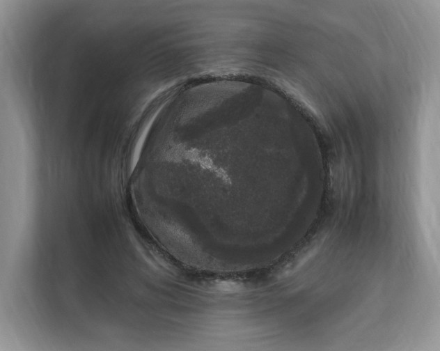 X0000112040592200908171512