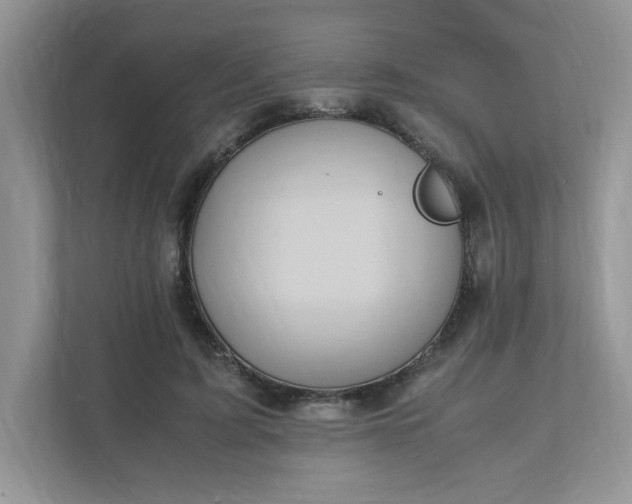 X0000112040595200908171512
