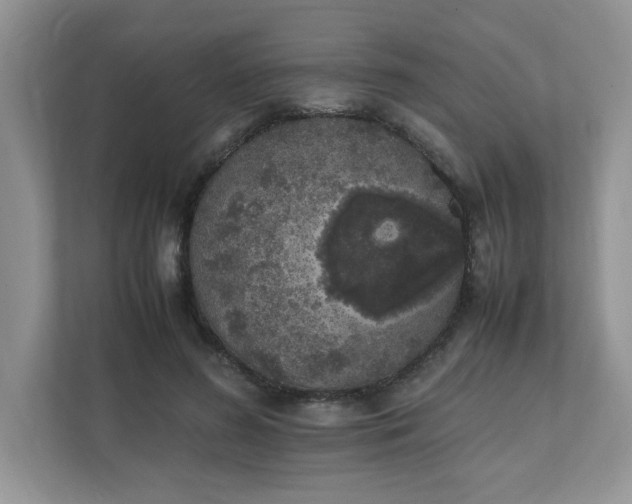 X0000112040596200908171512