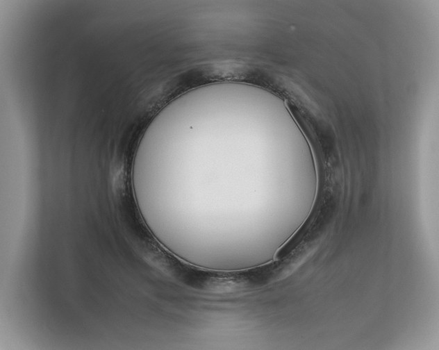 X0000112040597200908171512
