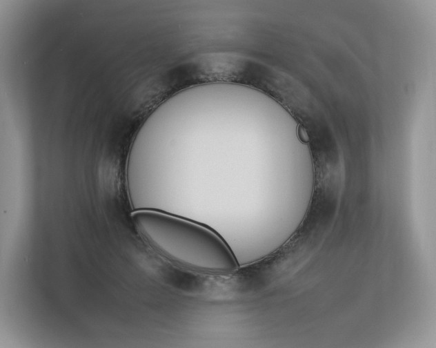 X0000112040599200908171512