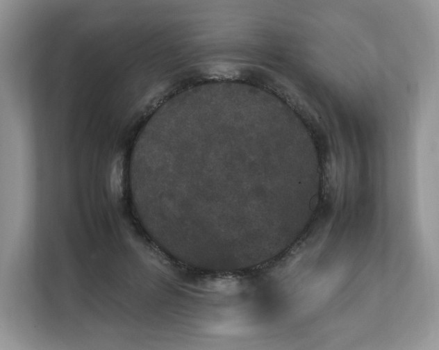 X0000112040600200908171512