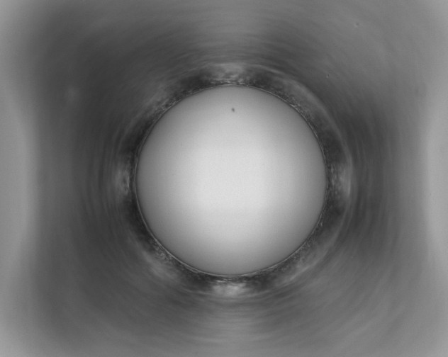 X0000112040602200908171512