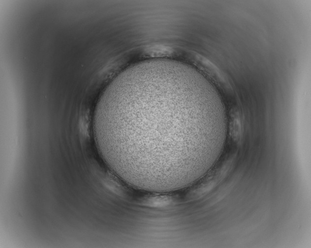 X0000112040604200908171512