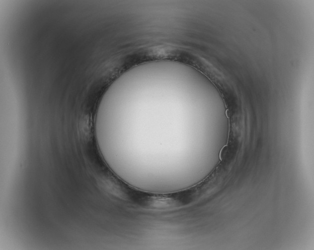 X0000112040605200908171512
