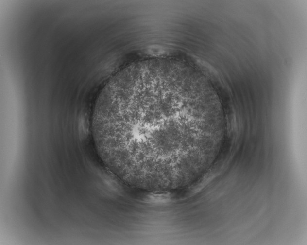 X0000112040606200908171512