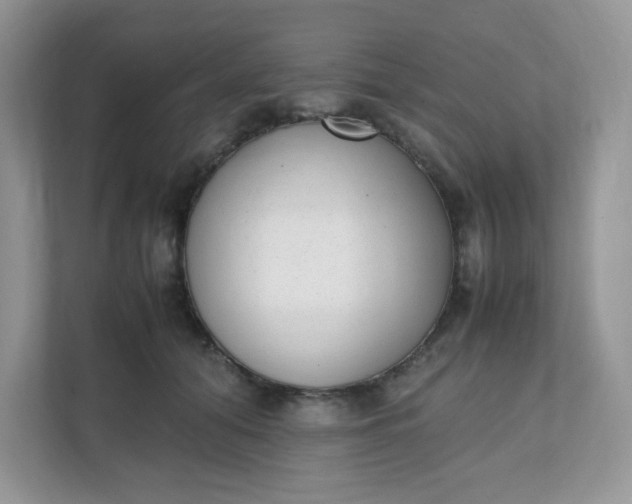 X0000112040608200908171512