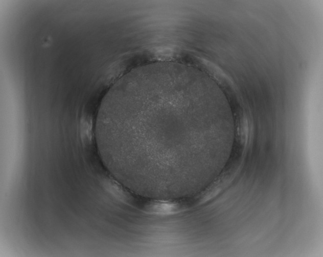 X0000112040610200908171512