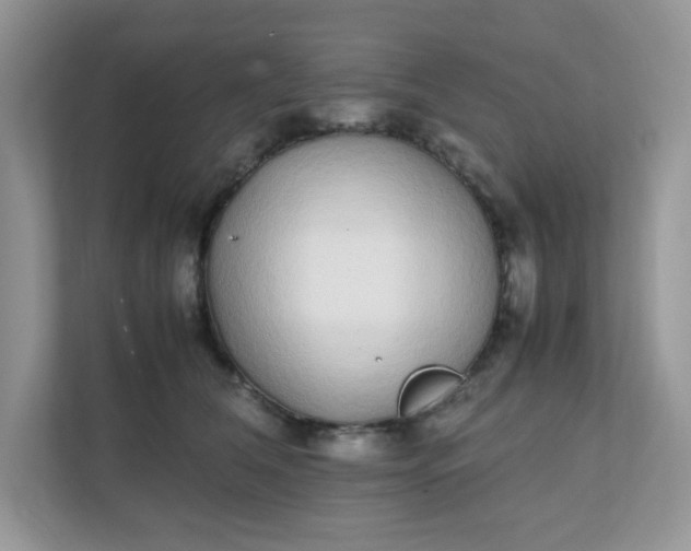 X0000112040612200908171512