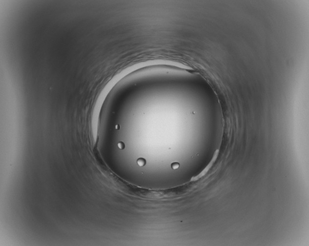X0000112040613200908171512