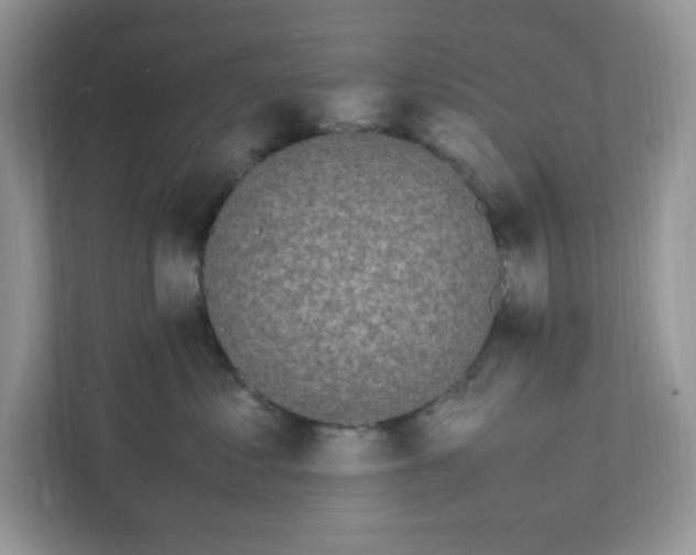 X0000112040621200908171512