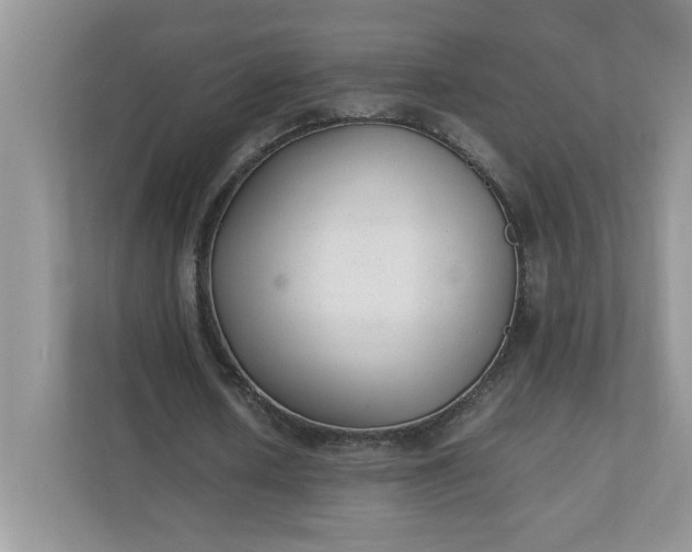 X0000112040626200908171511