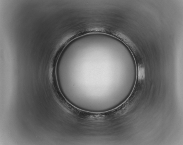 X0000112040627200908171511