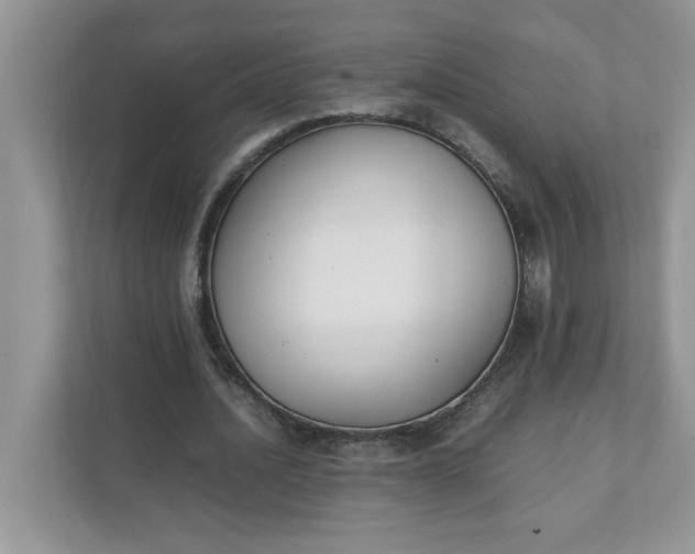 X0000112040628200908171511