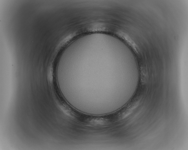 X0000112040631200908171511
