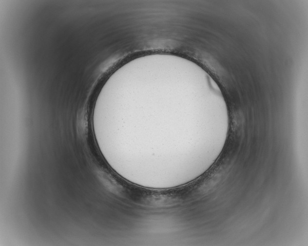 X0000112040632200908171511
