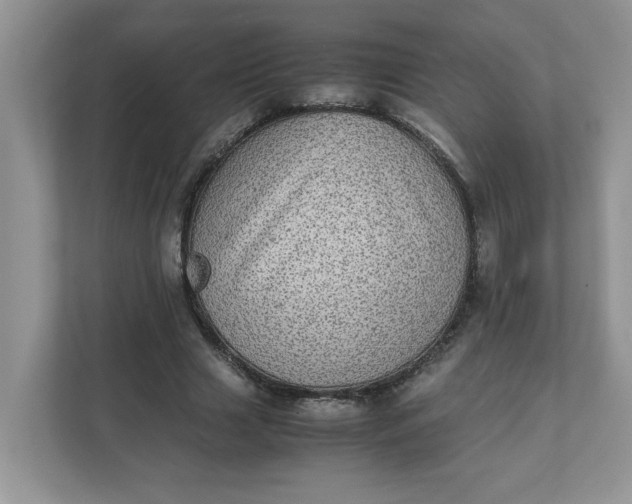 X0000112040633200908171511
