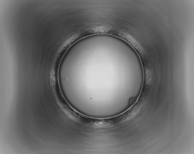 X0000112040634200908171511