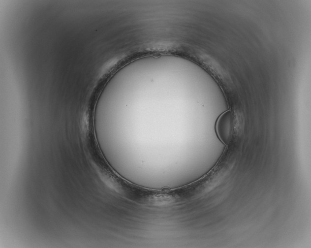 X0000112040636200908171512