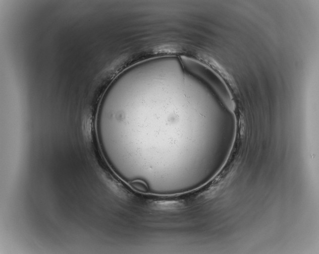 X0000112040637200908171512