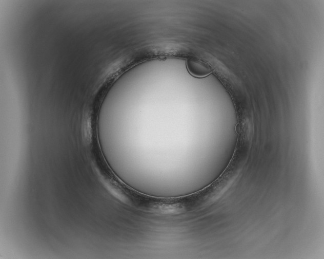 X0000112040638200908171512