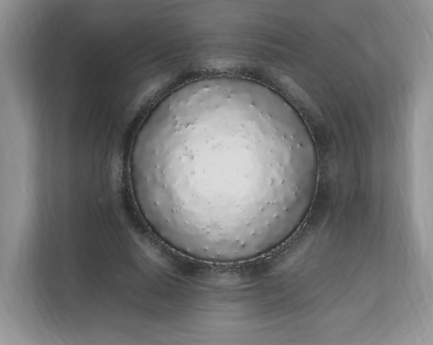 X0000112040640200908171512