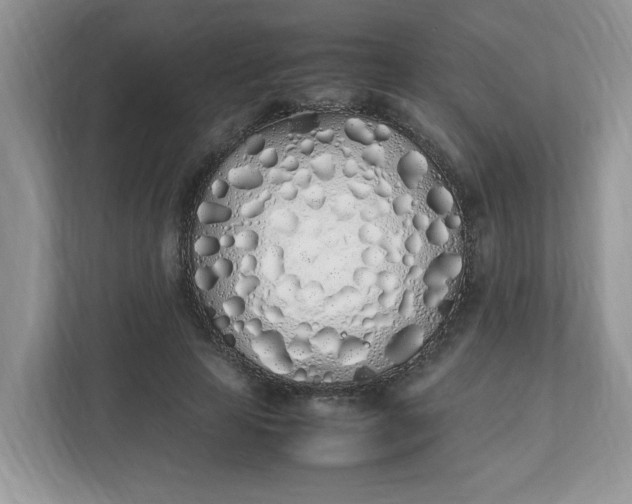 X0000112040641200908171512