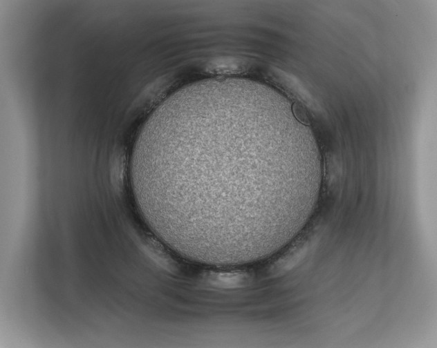 X0000112040645200908171512