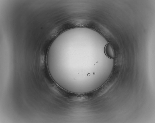X0000112040646200908171512