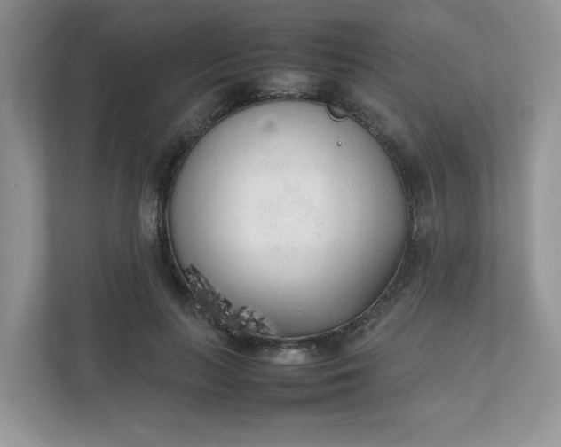 X0000112040647200908171512