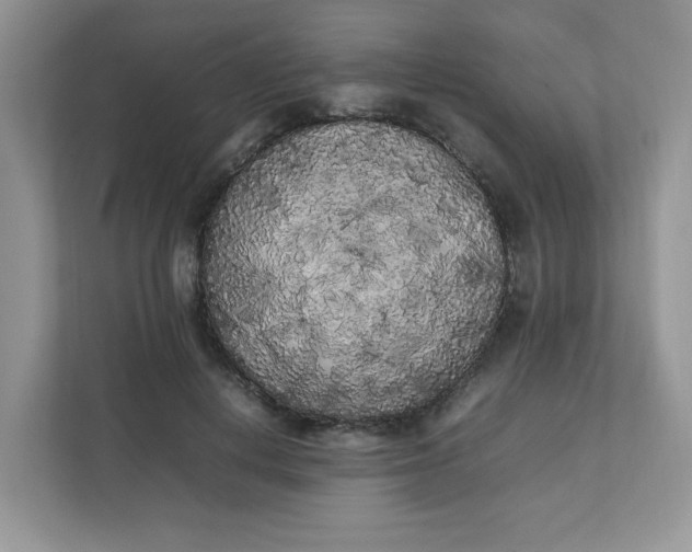 X0000112040648200908171512