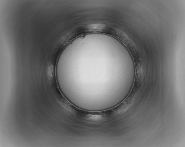 X0000112040649200908171512