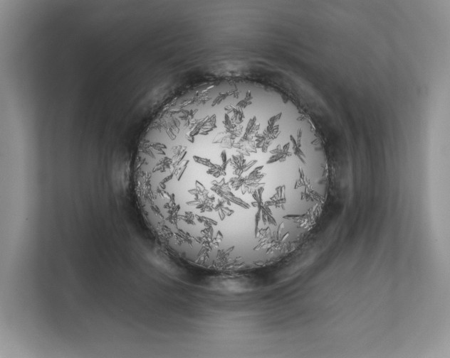 X0000112040652200908171512