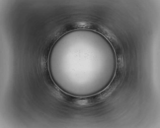 X0000112040653200908171512