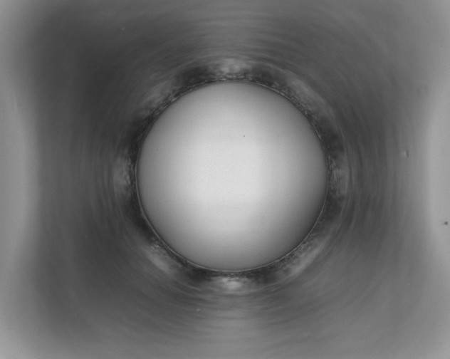 X0000112040654200908171512